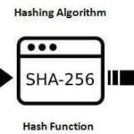 기초 암호학: SHA-256 해시 함수와 블록 검증에서의 역할