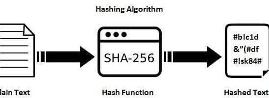 기초 암호학: SHA-256 해시 함수와 블록 검증에서의 역할