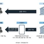 API 경제와 핀테크: 서비스형 뱅킹(BaaS)의 부상