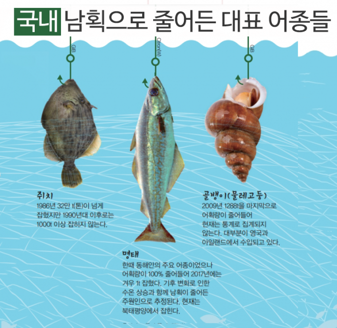 남획이 해양 생태계에 미치는 영향: 심각한 문제와 해결 방안