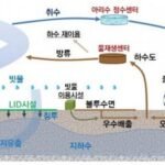 도시화가 물의 순환을 바꾸는 과정: 원인과 영향 분석