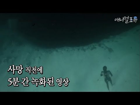 바다의 블루홀에 숨겨진 미스터리: 신비로운 심해의 비밀을 탐구하다