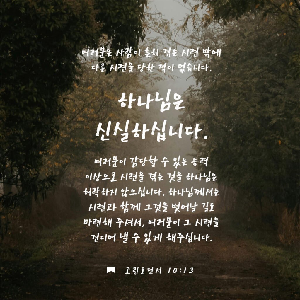 불의 고리 근처에 사는 것의 불편한 진실: 누구도 말해주지 않는 현실