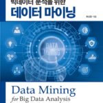 빅데이터 분석과 데이터 마이닝의 차이점 및 상호보완성