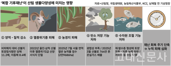 산불 후의 생물 다양성: 생명의 부활과 자연 회복의 신비