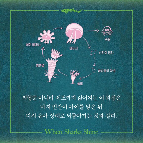 생체 발광 현상: 아름다움 뒤에 숨겨진 과학적 원리와 신비