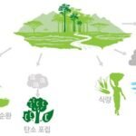 서식지 파편화가 미치는 영향: 생태계와 생물 다양성에 대한 심층 분석