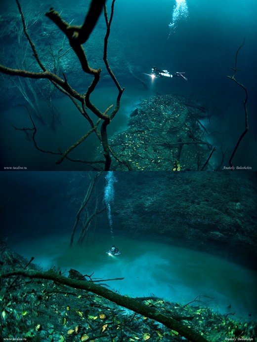 세노테의 형성과정과 위험성: 자연의 신비와 그 뒤에 숨은 위협