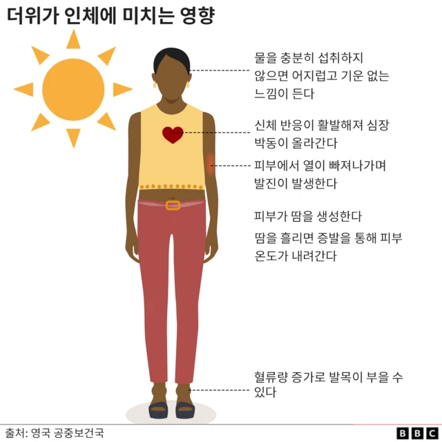 습한 폭염이 인체에 미치는 치명적인 위험: 건강을 위협하는 높은 습도와 더위의 영향