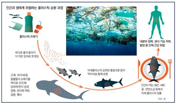 열 오염이 수생 생태계에 미치는 영향: 원인, 문제점 및 해결방안