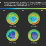 오존 구멍으로 인한 자외선 복사의 영향: 건강과 환경에 미치는 주요 위험 요소