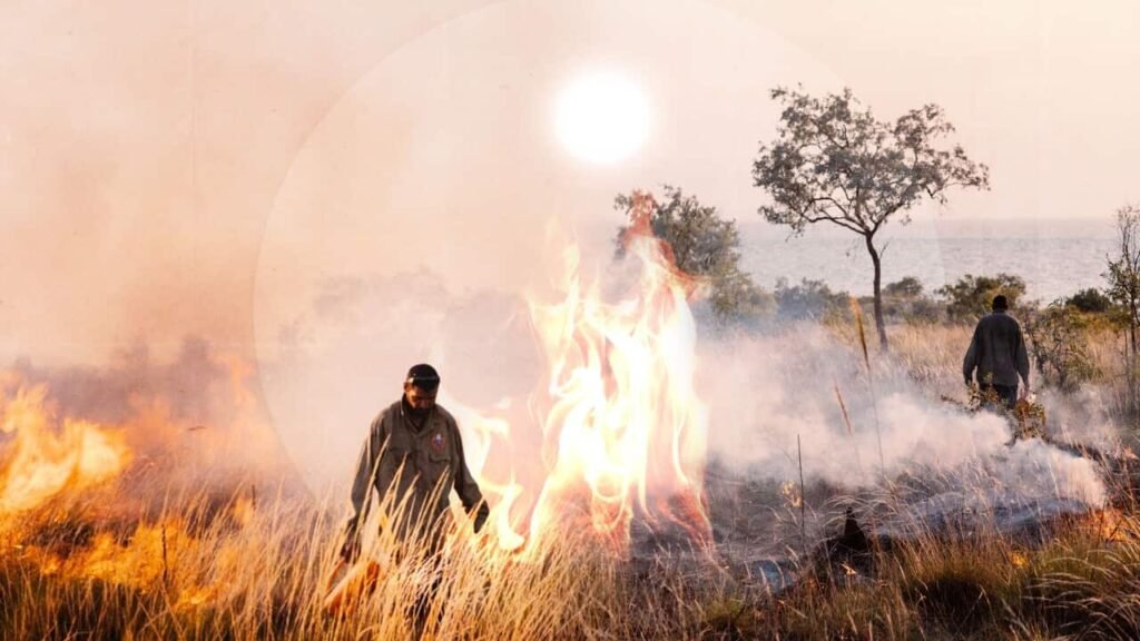 원주민들의 전통적인 산불 관리 방식: 지속 가능한 자연 보호의 지혜