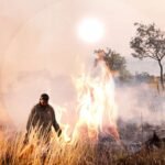 원주민들의 전통적인 산불 관리 방식: 지속 가능한 자연 보호의 지혜