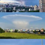 자연이 되찾은 땅: 체르노빌의 현재 모습과 놀라운 회복력