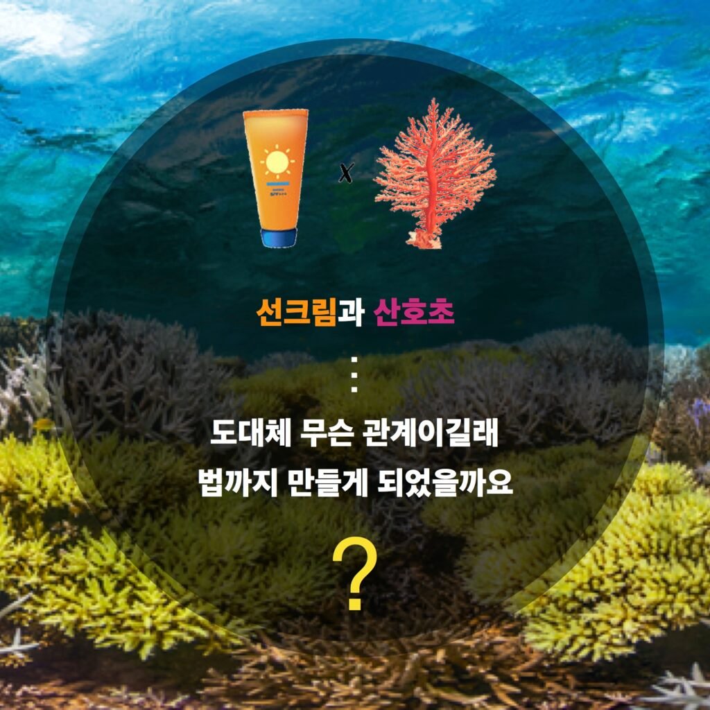 자외선 차단제가 산호초에 미치는 영향: 위험성과 해결 방안 탐구