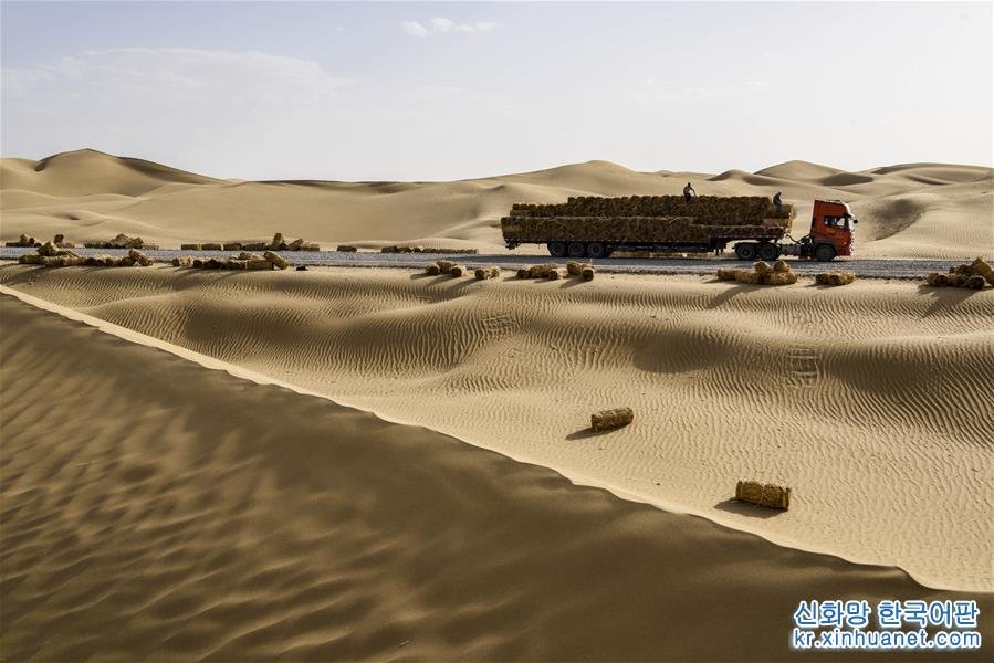 전진하는 사막: 모래가 도시를 삼키는 과정과 미래 대책