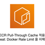 컨테이너 레지스트리 활용: 도커 허브 vs ECR