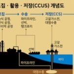 탄소 포집 및 저장(CCS) 기술과 광물 탄산화