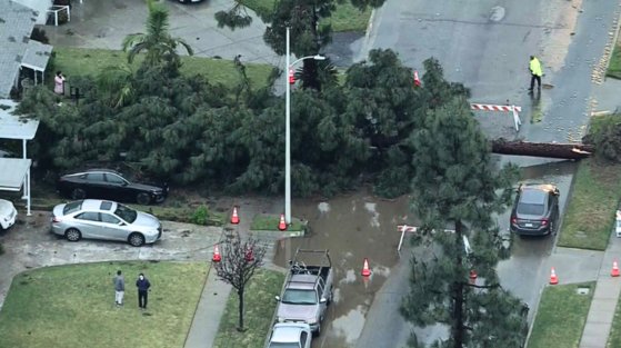 토네이도 발생 시 문을 열어두라는 위험한 미신: 진실과 과학적 사실