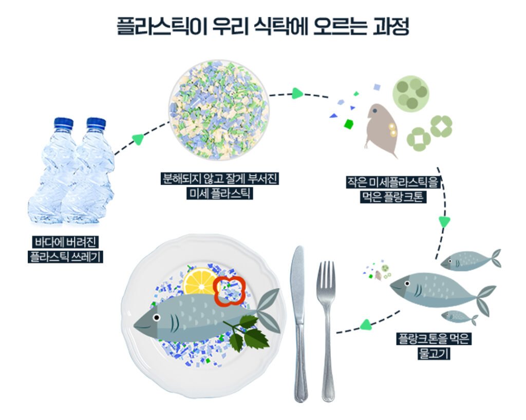 플라스틱 쓰레기가 해양 생물에 미치는 위험성과 대처 방안