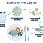 플라스틱 쓰레기가 해양 생물에 미치는 위험성과 대처 방안