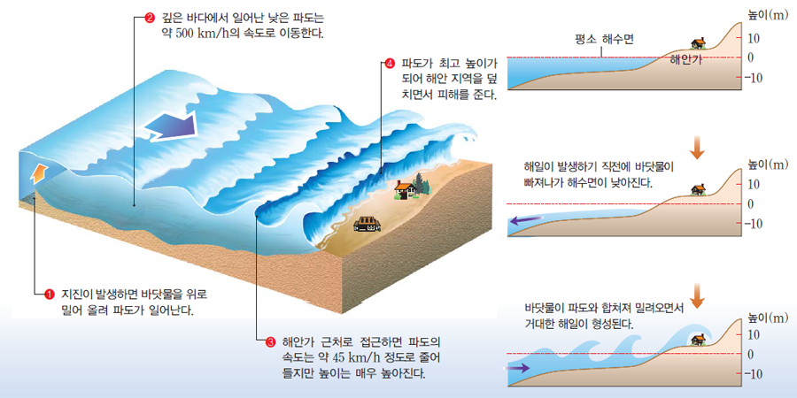 해저 지진이 쓰나미를 일으키는 이유: 과학적으로 알아보기