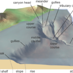 해저 협곡이 형성되는 방법: 심해의 신비를 파헤치는 과학적 원리