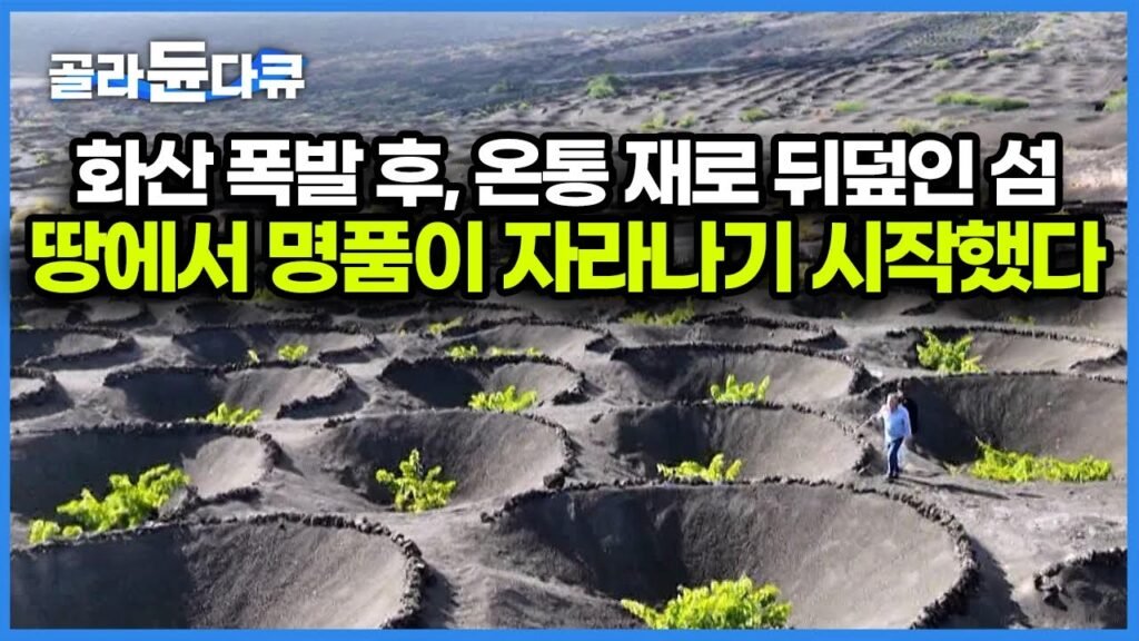 화산 폭발 후 하룻밤 사이에 생겨난 섬, 놀라운 자연의 신비