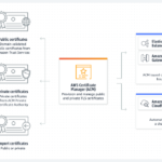 SSL/TLS 인증서의 종류와 웹사이트 보안 적용 방법