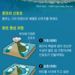 바다 한가운데 산호 환초가 형성되는 방법과 놀라운 과정