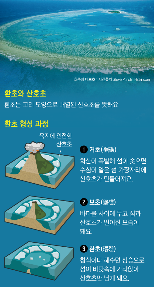 바다 한가운데 산호 환초가 형성되는 방법과 놀라운 과정